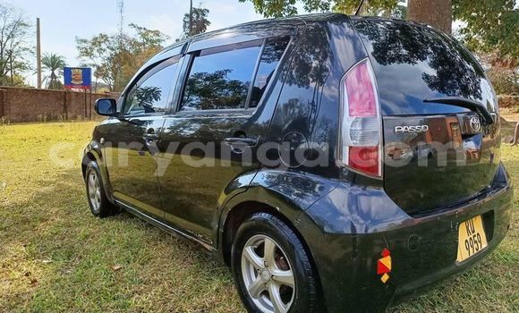 Buy Used Toyota Passo Other Car in Blantyre in Malawi Buy Used Toyota Passo Other Car in Blantyre in Malawi