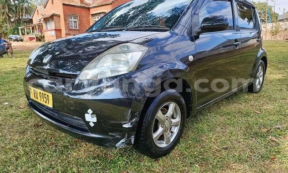 Buy Used Toyota Passo Other Car in Blantyre in Malawi Buy Used Toyota Passo Other Car in Blantyre in Malawi