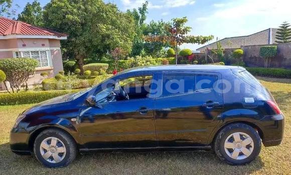 Buy Used Toyota WiLL Black Car in Blantyre in Malawi Buy Used Toyota WiLL Black Car in Blantyre in Malawi
