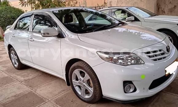 Buy Used Toyota Corolla Other Car in Blantyre in Malawi Buy Used Toyota Corolla Other Car in Blantyre in Malawi