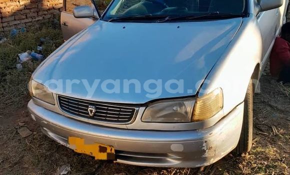 Buy Used Toyota Corolla Other Car in Blantyre in Malawi Buy Used Toyota Corolla Other Car in Blantyre in Malawi