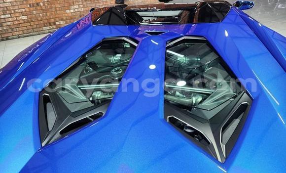 Nunua Ilio tumika Lamborghini Aventador Black Gari ndani ya Blantyre nchini Malawi Nunua Ilio tumika Lamborghini Aventador Black Gari ndani ya Blantyre nchini Malawi