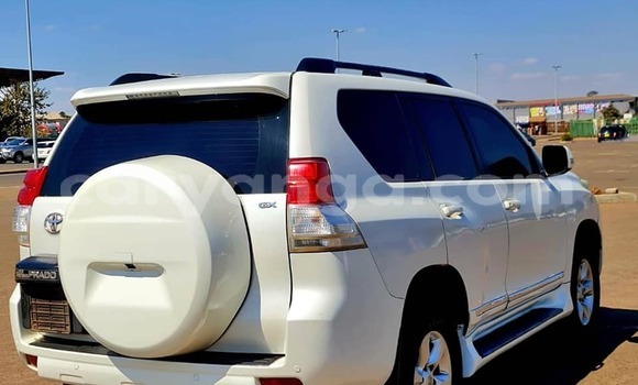 Buy Used Toyota Prado White Car in Lilongwe in Malawi Buy Used Toyota Prado White Car in Lilongwe in Malawi