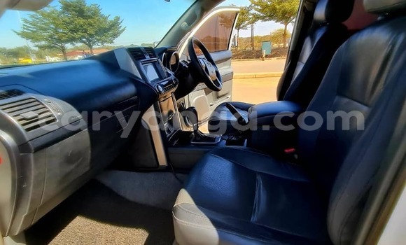 Buy Used Toyota Prado White Car in Lilongwe in Malawi Buy Used Toyota Prado White Car in Lilongwe in Malawi