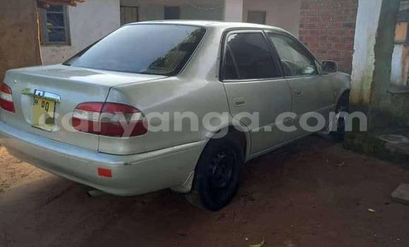 Buy Used Toyota Corolla Other Car in Lilongwe in Malawi Buy Used Toyota Corolla Other Car in Lilongwe in Malawi