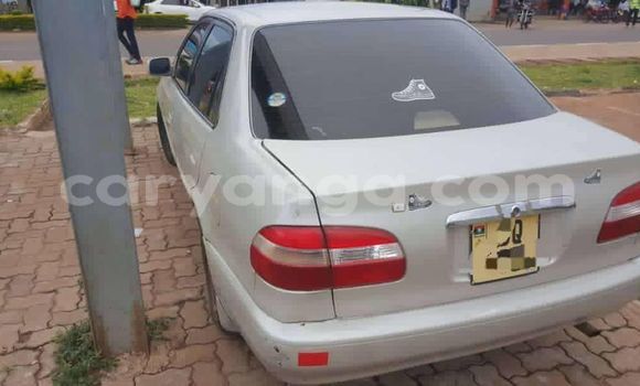 Buy Used Toyota Corolla Other Car in Lilongwe in Malawi Buy Used Toyota Corolla Other Car in Lilongwe in Malawi