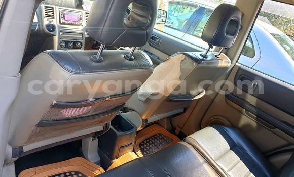 Buy Used Nissan X–Trail Other Car in Lilongwe in Malawi Buy Used Nissan X–Trail Other Car in Lilongwe in Malawi