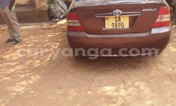 Acheter Occasion Voiture Toyota Vitz Autre à Lilongwe, Malawi Acheter Occasion Voiture Toyota Vitz Autre à Lilongwe, Malawi