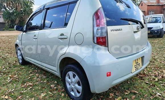 Buy Used Toyota Passo Other Car in Lilongwe in Malawi