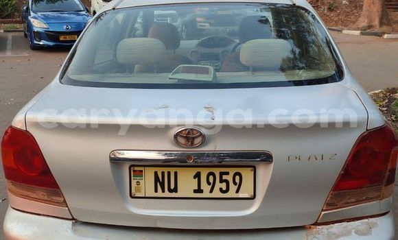 Buy Used Toyota Platz Other Car in Lilongwe in Malawi Buy Used Toyota Platz Other Car in Lilongwe in Malawi
