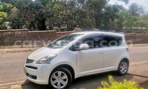 Buy Used Toyota Ractis White Car in Blantyre in Malawi Buy Used Toyota Ractis White Car in Blantyre in Malawi