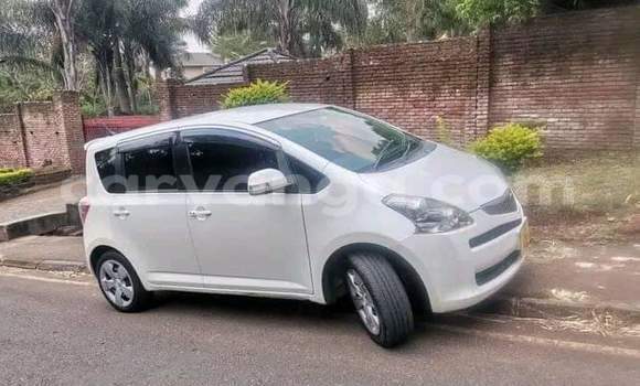 Buy Used Toyota Ractis White Car in Blantyre in Malawi Buy Used Toyota Ractis White Car in Blantyre in Malawi