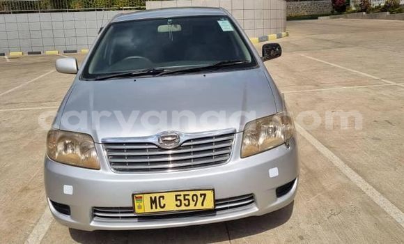 Acheter Occasion Voiture Toyota Corolla Autre à Lilongwe, Malawi Acheter Occasion Voiture Toyota Corolla Autre à Lilongwe, Malawi