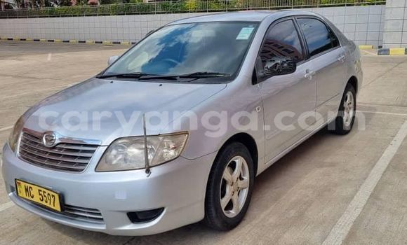 Acheter Occasion Voiture Toyota Corolla Autre à Lilongwe, Malawi Acheter Occasion Voiture Toyota Corolla Autre à Lilongwe, Malawi