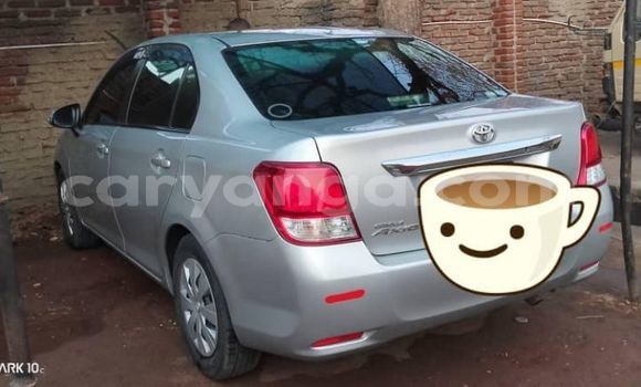 Acheter Occasion Voiture Toyota Axio Autre à Lilongwe, Malawi Acheter Occasion Voiture Toyota Axio Autre à Lilongwe, Malawi