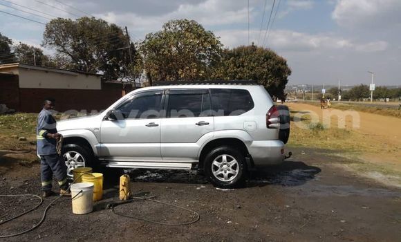 Buy Used Toyota Prado Other Car in Blantyre in Malawi Buy Used Toyota Prado Other Car in Blantyre in Malawi