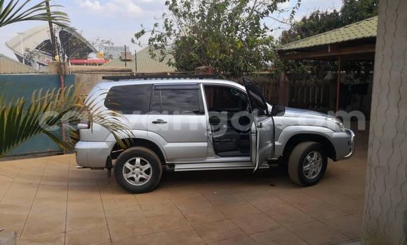Buy Used Toyota Prado Other Car in Blantyre in Malawi Buy Used Toyota Prado Other Car in Blantyre in Malawi