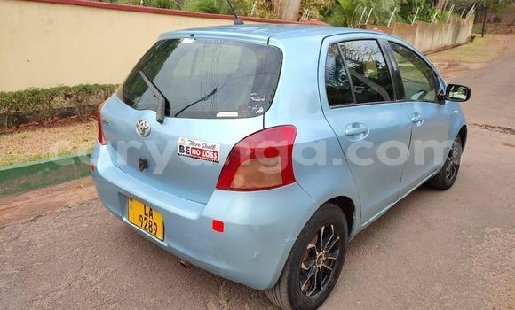 Buy Used Toyota Vitz Other Car in Blantyre in Malawi Buy Used Toyota Vitz Other Car in Blantyre in Malawi