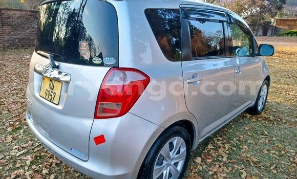 Buy Used Toyota Ractis Other Car in Lilongwe in Malawi Buy Used Toyota Ractis Other Car in Lilongwe in Malawi