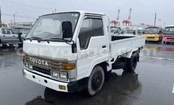 Buy Used Toyota Dyna White Truck in Lilongwe in Malawi
