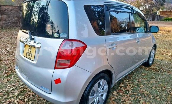 Buy Used Toyota Ractis Other Car in Lilongwe in Malawi Buy Used Toyota Ractis Other Car in Lilongwe in Malawi