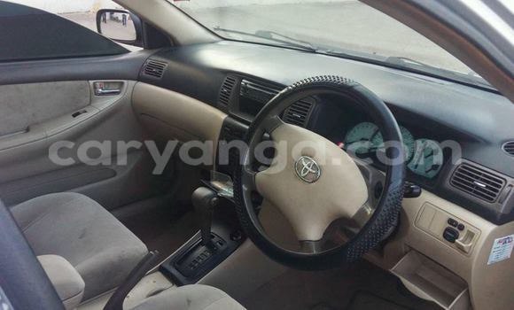 Buy Used Toyota Corolla Black Car in Limbe in Malawi Buy Used Toyota Corolla Black Car in Limbe in Malawi