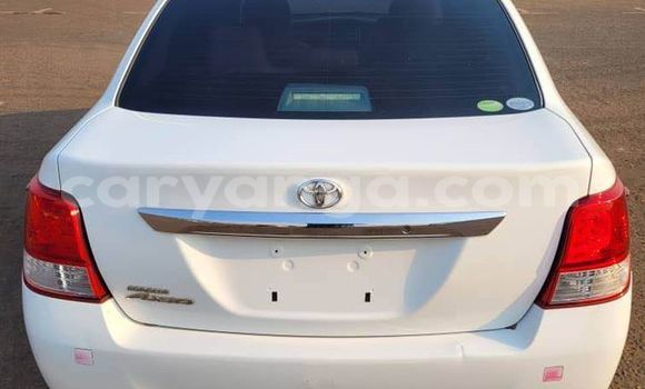 Buy Used Toyota Axio White Car in Blantyre in Malawi Buy Used Toyota Axio White Car in Blantyre in Malawi
