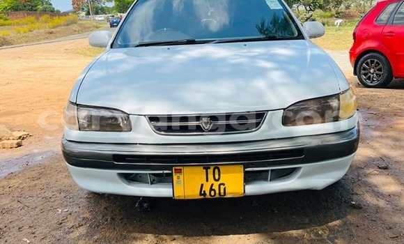 Acheter Occasion Voiture Toyota Epsun Blanc à Dedza, Dedza Acheter Occasion Voiture Toyota Epsun Blanc à Dedza, Dedza