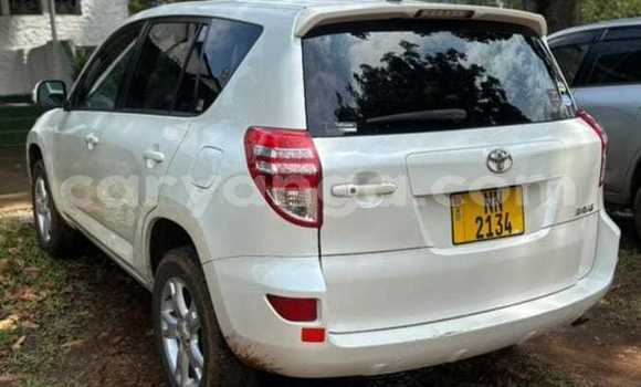 Acheter Occasion Voiture Toyota RAV4 Blanc à Dedza, Dedza Acheter Occasion Voiture Toyota RAV4 Blanc à Dedza, Dedza