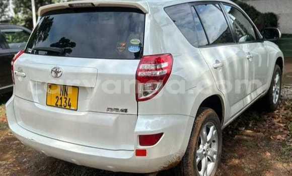 Acheter Occasion Voiture Toyota RAV4 Blanc à Dedza, Dedza Acheter Occasion Voiture Toyota RAV4 Blanc à Dedza, Dedza