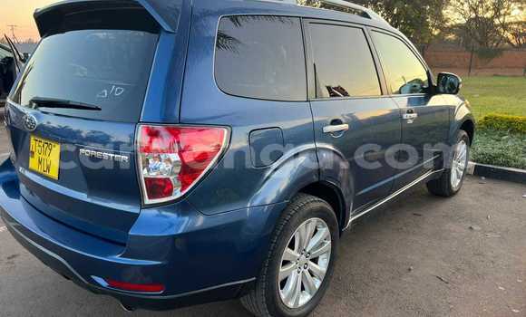 Buy Used Subaru Forester Black Car in Chitipa in Chitipa Buy Used Subaru Forester Black Car in Chitipa in Chitipa