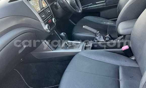 Buy Used Subaru Forester Black Car in Chitipa in Chitipa Buy Used Subaru Forester Black Car in Chitipa in Chitipa