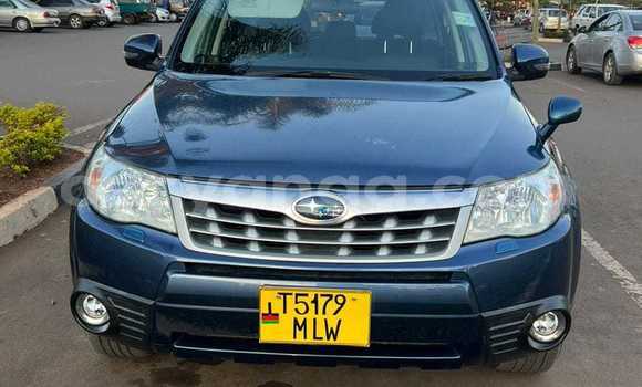 Buy Used Subaru Forester Black Car in Chitipa in Chitipa Buy Used Subaru Forester Black Car in Chitipa in Chitipa