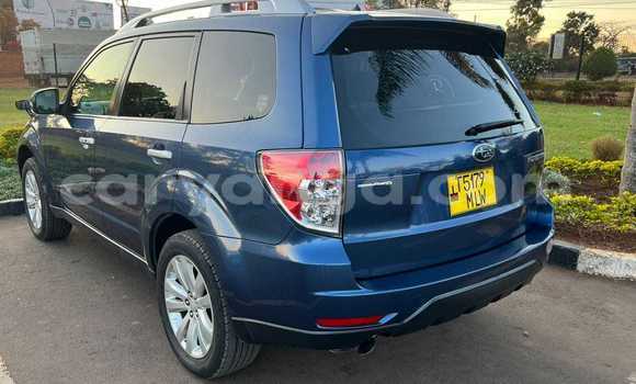 Buy Used Subaru Forester Black Car in Chitipa in Chitipa Buy Used Subaru Forester Black Car in Chitipa in Chitipa