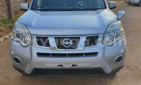 Buy Used Nissan X–Trail Other Car in Chitipa in Chitipa Buy Used Nissan X–Trail Other Car in Chitipa in Chitipa