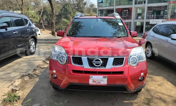 Nunua Ilio tumika Nissan X–Trail Red Gari ndani ya Chilumba nchini Karonga Nunua Ilio tumika Nissan X–Trail Red Gari ndani ya Chilumba nchini Karonga