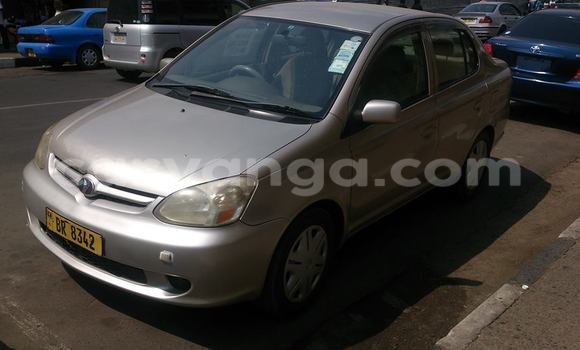 Buy Used Toyota Platz Black Car in Limbe in Malawi
