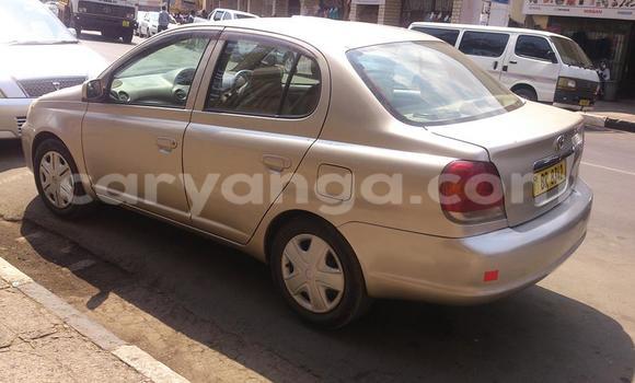 Buy Used Toyota Platz Black Car in Limbe in Malawi Buy Used Toyota Platz Black Car in Limbe in Malawi