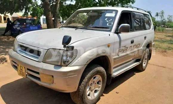 Buy Used Toyota Land Cruiser Prado Other Car in Chipoka in Dedza Buy Used Toyota Land Cruiser Prado Other Car in Chipoka in Dedza