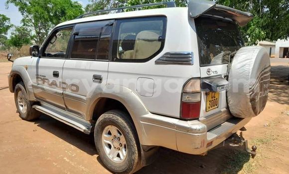 Buy Used Toyota Land Cruiser Prado Other Car in Chipoka in Dedza Buy Used Toyota Land Cruiser Prado Other Car in Chipoka in Dedza