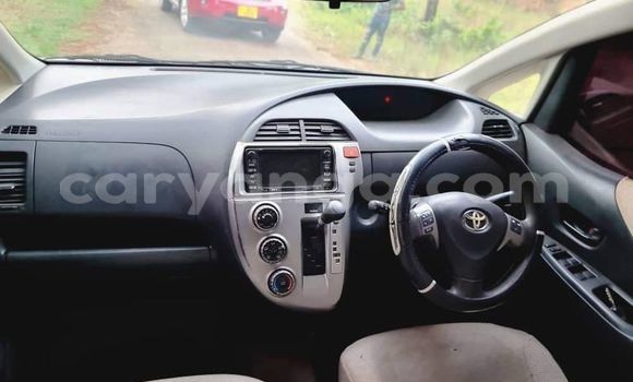 Buy Used Toyota Ractis Other Car in Chitipa in Chitipa Buy Used Toyota Ractis Other Car in Chitipa in Chitipa