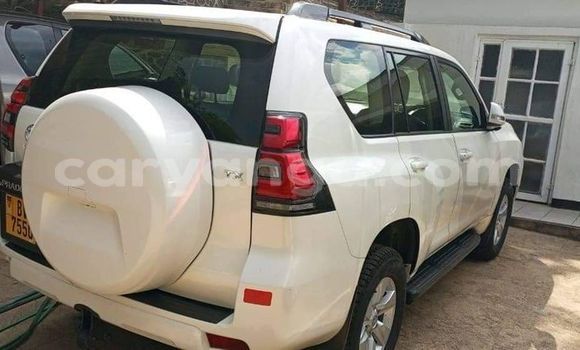 Buy Used Toyota Prado White Car in Chitipa in Chitipa Buy Used Toyota Prado White Car in Chitipa in Chitipa