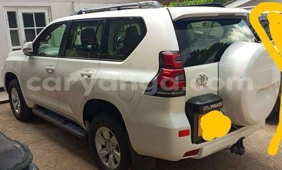 Buy Used Toyota Prado White Car in Chitipa in Chitipa Buy Used Toyota Prado White Car in Chitipa in Chitipa