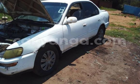 Buy Used Toyota Corolla White Car in Blantyre in Malawi Buy Used Toyota Corolla White Car in Blantyre in Malawi
