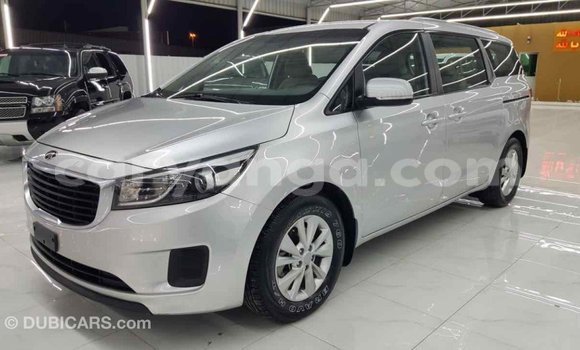 Buy Import Kia Carnival Other Car in Import - Dubai in Malawi Buy Import Kia Carnival Other Car in Import - Dubai in Malawi