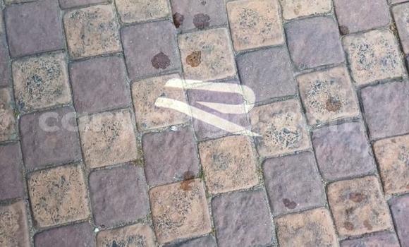 Acheter Occasion Voiture Volkswagen Tiguan Bleu à Blantyre, Malawi Acheter Occasion Voiture Volkswagen Tiguan Bleu à Blantyre, Malawi