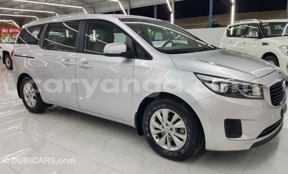 Buy Import Kia Carnival Other Car in Import - Dubai in Malawi Buy Import Kia Carnival Other Car in Import - Dubai in Malawi
