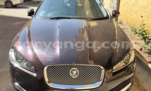 Buy Used Jaguar F-Type Brown Car in Lilongwe in Malawi