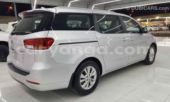 Buy Import Kia Carnival Other Car in Import - Dubai in Malawi Buy Import Kia Carnival Other Car in Import - Dubai in Malawi