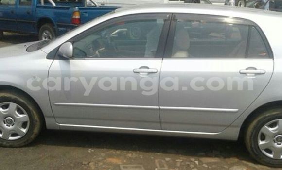 Buy Used Toyota Allex Black Car in Limbe in Malawi Buy Used Toyota Allex Black Car in Limbe in Malawi